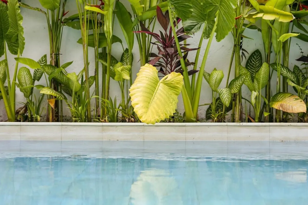 Mediterranean 2Br Villa Ellure Ember With Pool & Lush Garden Jimbaran